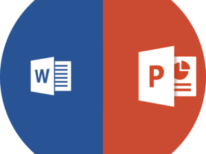 WORD---PPT